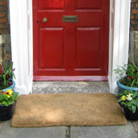 Dog house with door