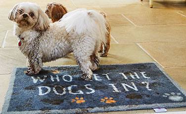 Washable Door Mats