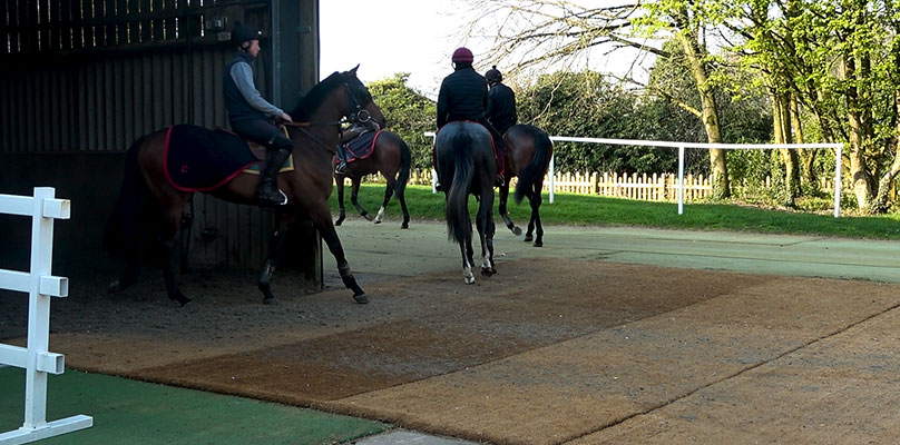Hand Made coir mats to stop horses slipping on concrete or tarmac