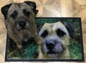 Photo Quality Doormats from Make An Entrance