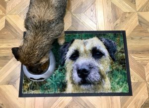 Personalised Pet Photo Mat