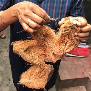 Coir for our doormats comes from waste coconut husk