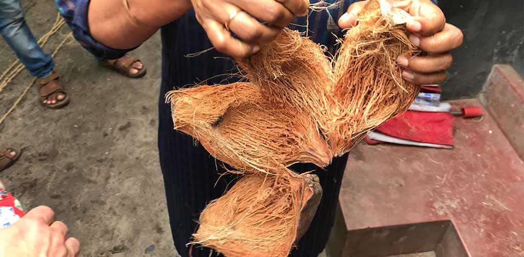 The fibrous husk of the coconut, it is these fibres that are referred to as coir and become coir matting.